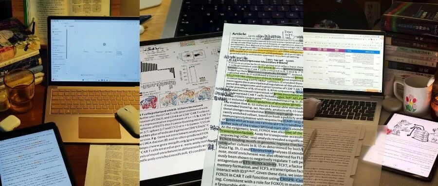 在这个时代读研，提问力比记忆力重要了~